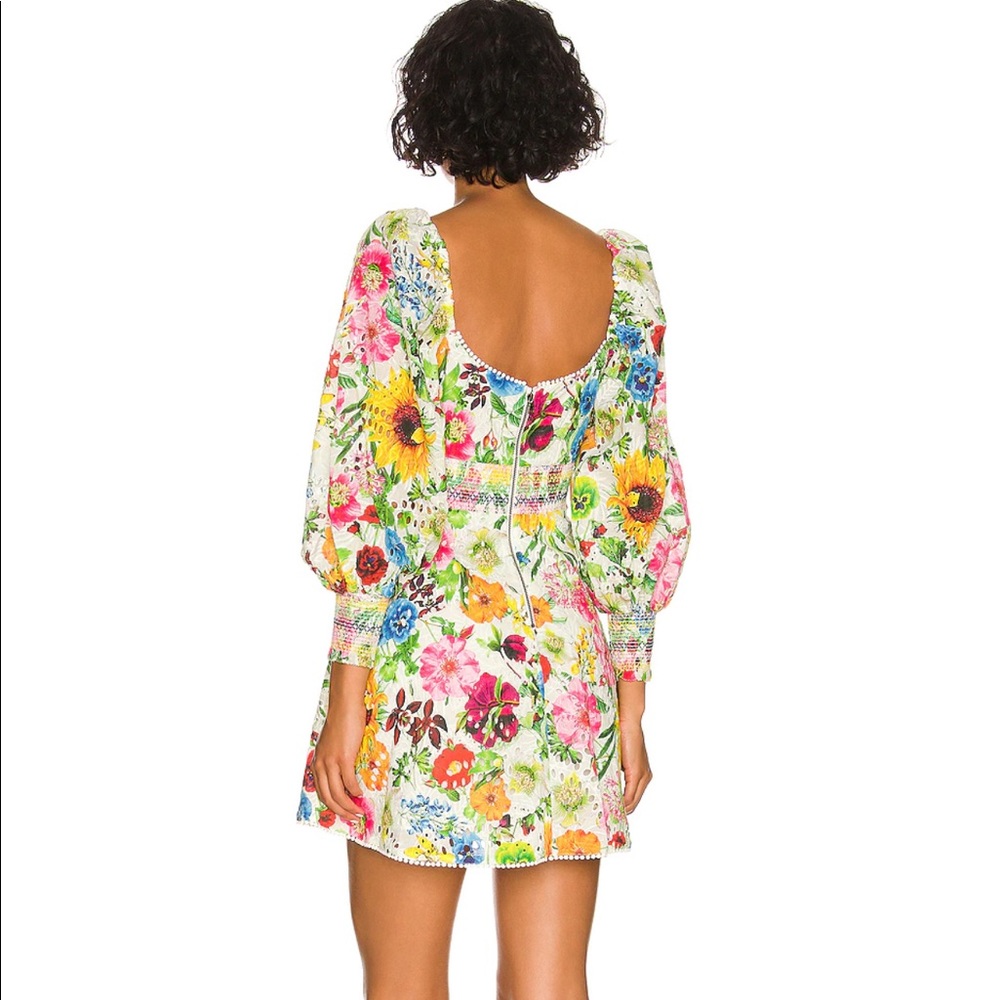 Alice and Olivia dress